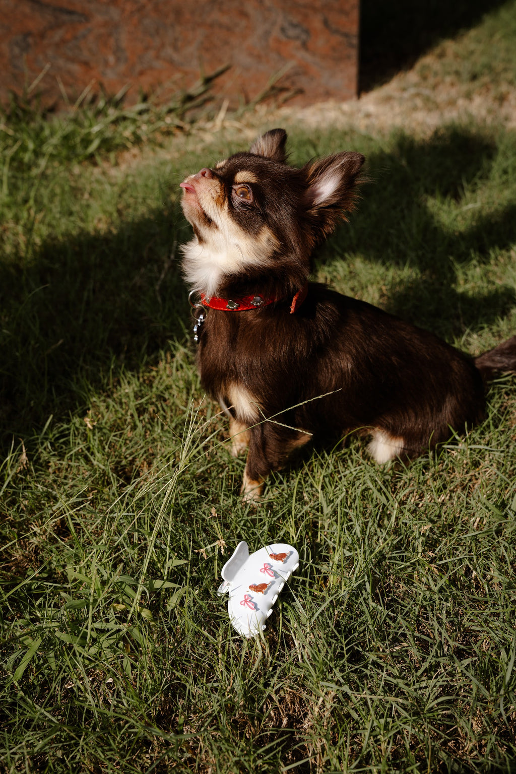 LE HOT DOG PYJAMA SET