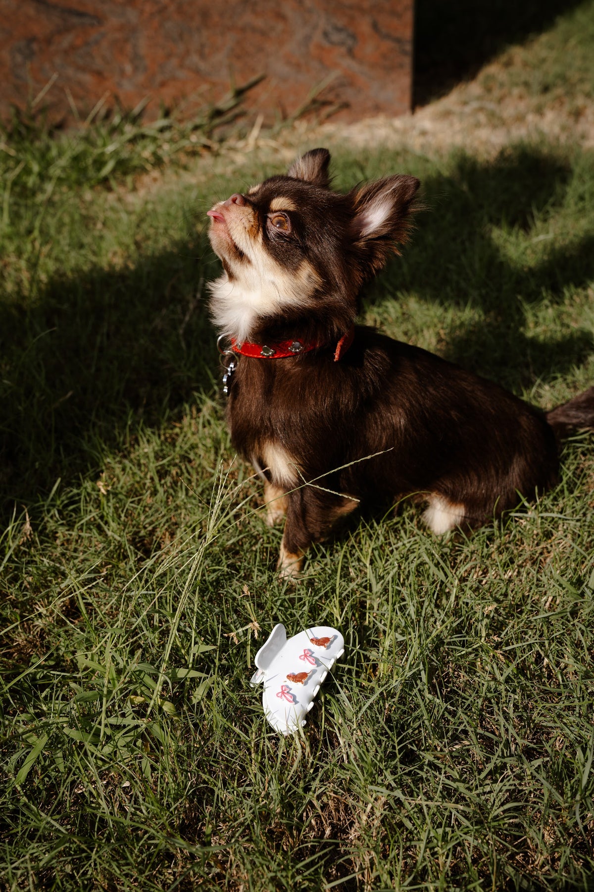 LE HOT DOG PYJAMA SET